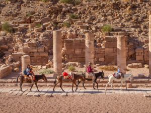 Activities for families to do in Jordan, Select.jo